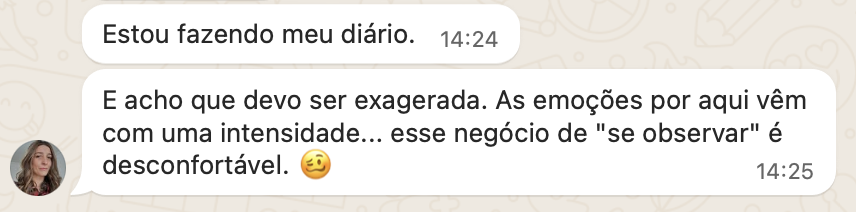 Captura de Tela 2025-08-18 às 21.23.27